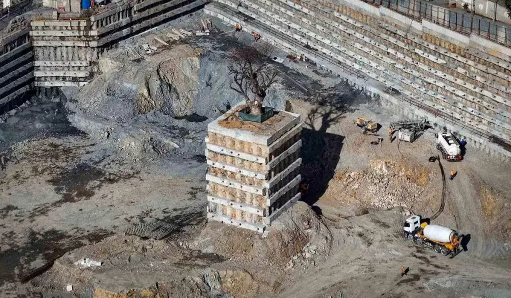 Uma árvore no meio do